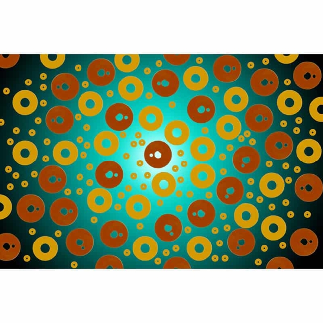Kapton Washers