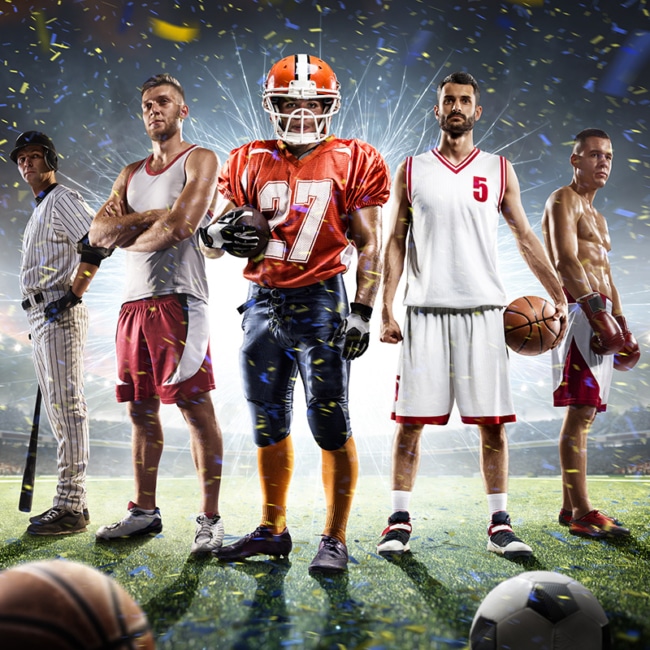 sports Sectors