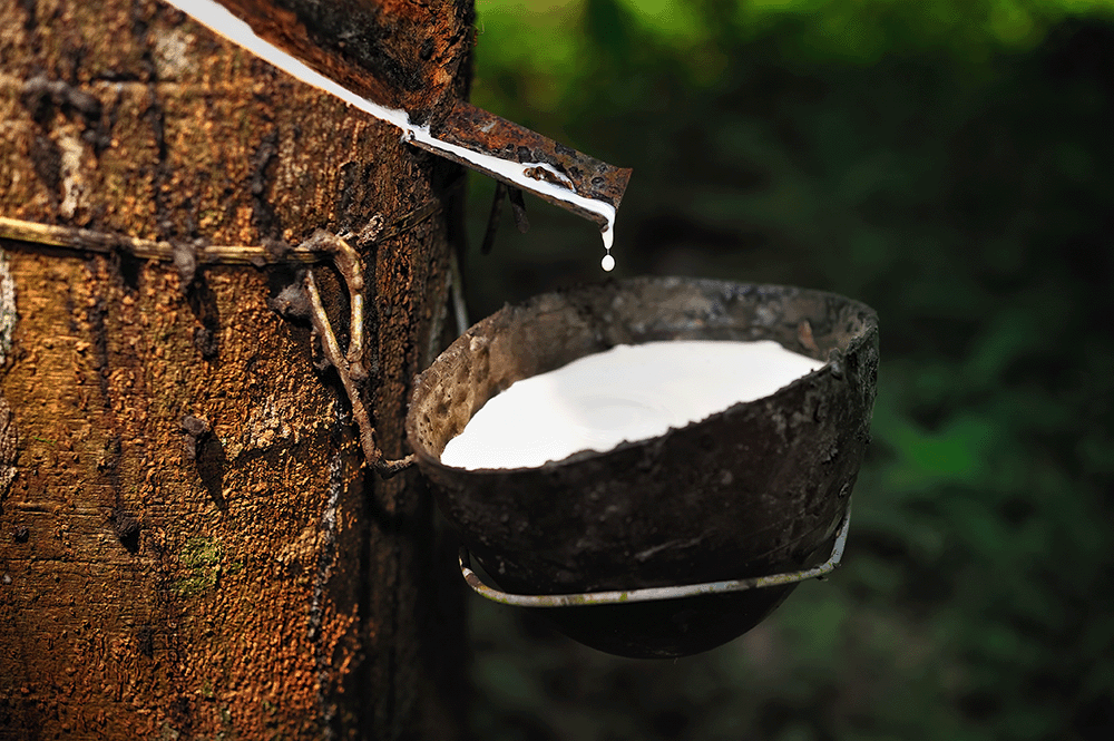 What Raw Materials Are Used to Make Rubber 1 How is Rubber Made